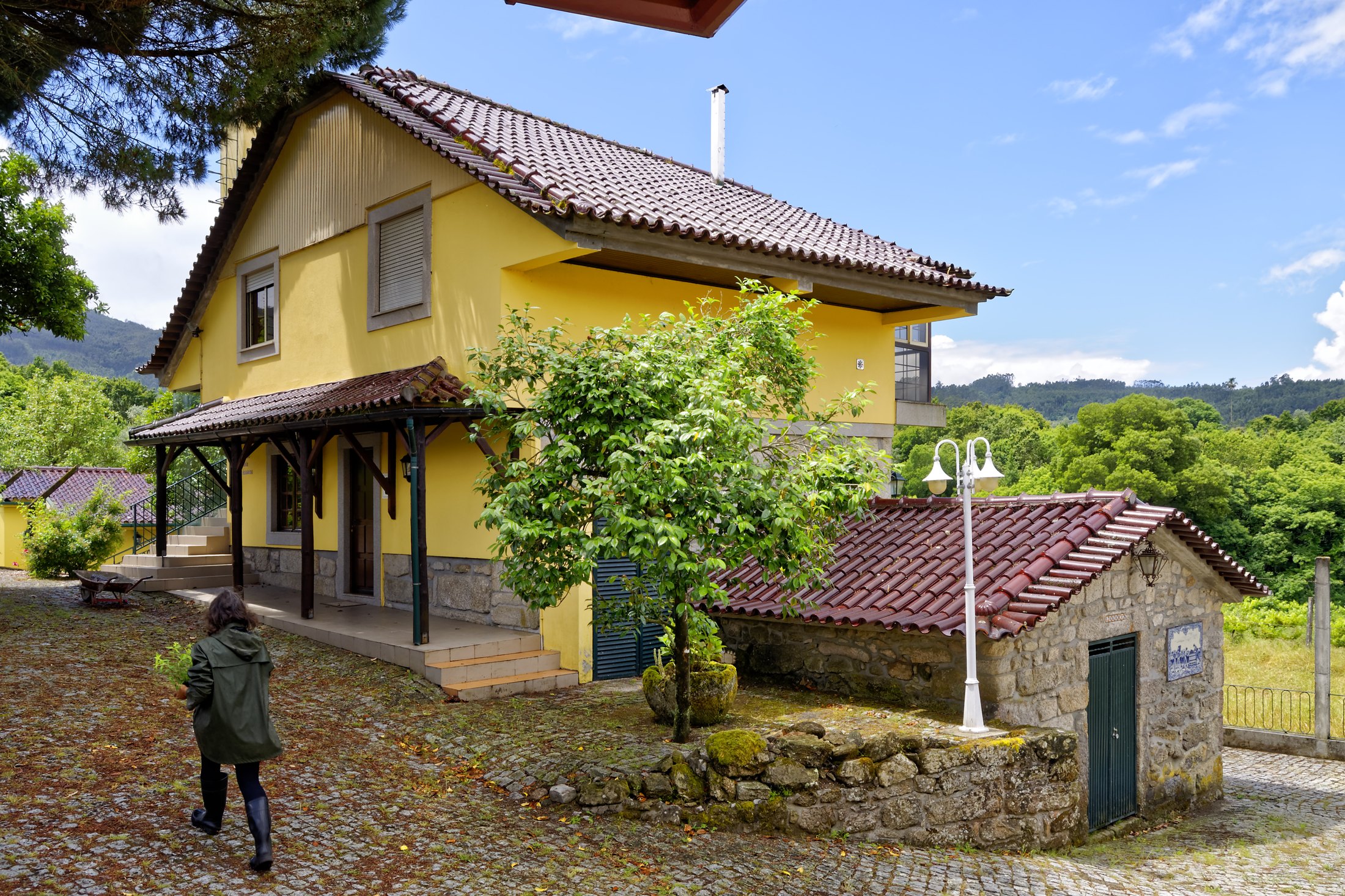 ZenVouga Quinta